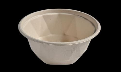 1000ml bagasse bowl